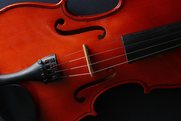 Musical instrument. Violin. Old violin.