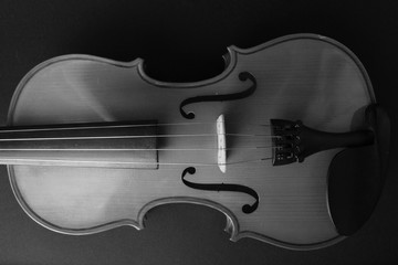 Fototapeta premium Musical instrument. Violin. Old violin. Black and white photo