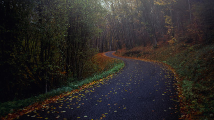 route de montagne en foret au début de l'automne