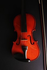 Fototapeta na wymiar Musical instrument. Violin. Old violin.