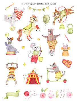 Set of watercolor circus elements animals bear on unicycle elephant on ball horse tiger jumping