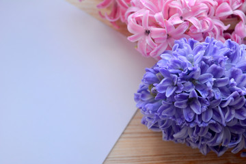 White paper and hyacinths on a wooden background.  Place for your text.Card, mock up