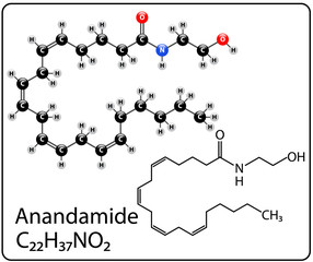 Anandamide Molecule Structure