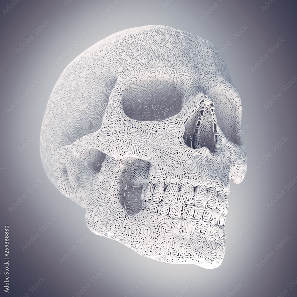 Poster Computer generated abstract white plastic wire skull surrounded by light mist. Geometric modern pattern. 3d rendering