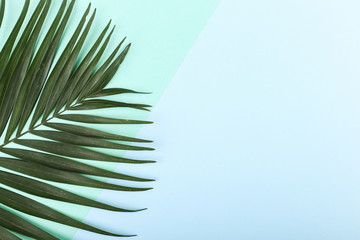 Fototapeta premium Palm leaves on colored paper. Summer mood, tropical background, blank.