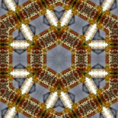 flowers mandala design