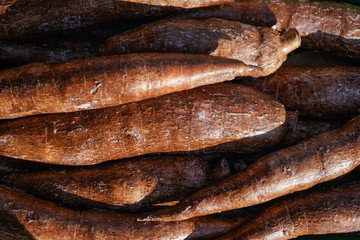 Yuca / Macaxeira ( Manihot esculenta ) roots displayed at food market in London, sun shines on