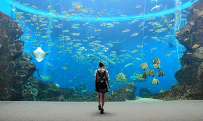 水族館