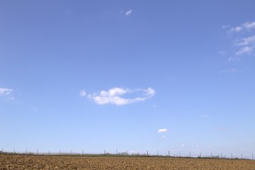 Kurioses Wolkengebilde Dinosaurier Schädelskelett