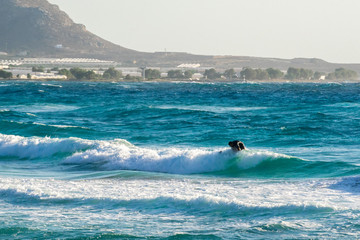 Young man, beginner Surfer learns to surf on a sea foam on the Crete island, beach Falasarna