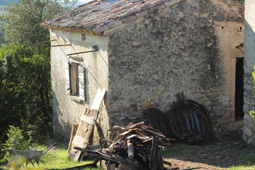 Haus