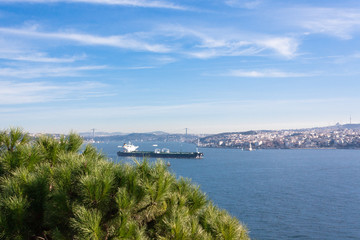 Fototapeta na wymiar Istanbul, Turkey. A tourist ship sails through the Bosphorus. View of the city. Tourism and travel.