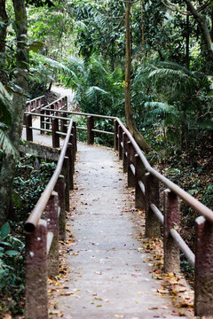 bridge in the forest © ปัญญาพล ชำนาญเมือง