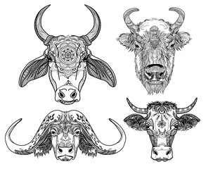 A set of colorings. Zebu cow, Indian cow, buffalo. Meditative coloring, anti-stress coloring. Patterns, points, arrows, stripes, mandalas. Ethnic drawing by hand.