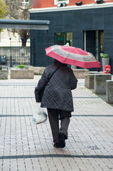  portrait of old woman with pink umbrella and grey coat in the street on back view