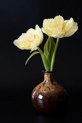 Tulpen