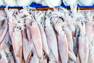 Fresh squid sell in local fishery market