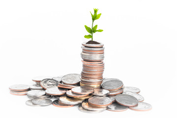 Financial planning, Money growth concept. Coins with young plant on white table.