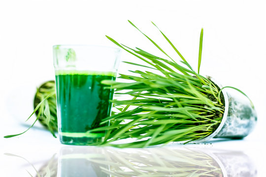 Wheat grass planted in pot with its extracted juice in glass isolated on white with its reflection.
