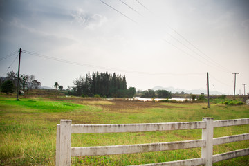 landscape with green field and blue sky