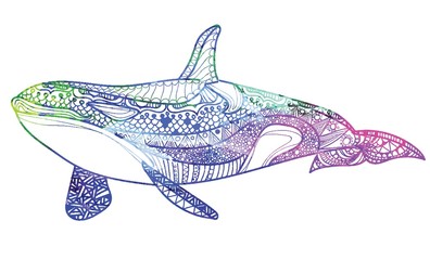 The killer whale. Ethnic pattern. Meditative coloring. Mandala, dudling drawing. Drawing from the hand. Points, stripes, arrows, flowers.