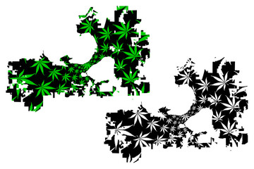 Madison city (United States of America, USA, U.S., US, United States cities, usa city)- map is designed cannabis leaf green, City of Madison map made of marijuana (marihuana,THC) foliage,