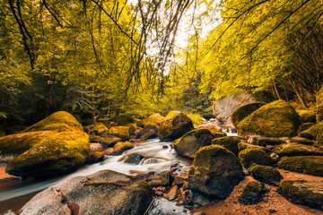 Autumn forest river water landscape. Beautiful scenery with soft sunlight, rocks and long exposure river. Autumn forest 