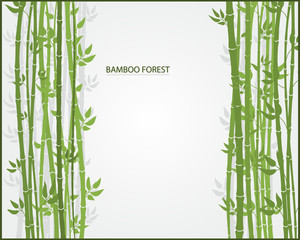 Fototapeta na wymiar Vector greeting card with bamboo on a light background.