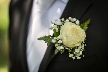 Groom in a suit and white rose flower