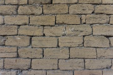 textured wall of ancient shell rock in the south