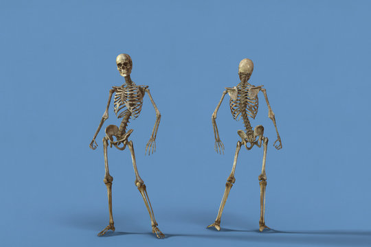 Human skeleton dirt on a background Picton Blue color
