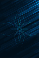 Abstract spider illustration