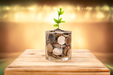 Financial planning, Money growth concept. Coins in glass jar with young plant on wooden table with...