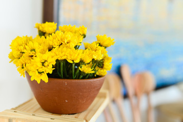 daisies flowers,  spring week, spring,springtime, mayflower, cowslip, primrose	