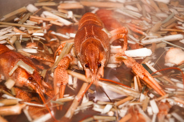 boiled crawfish in water with spices