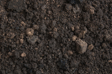 dark background with soil texture