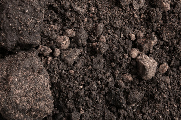 dark background with soil texture