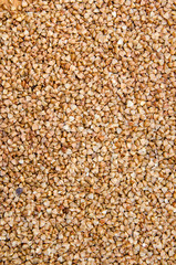 buckwheat background texture