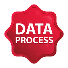 Data Process misty rose red starburst sticker button