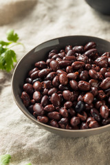 Organic Canned Black Beans