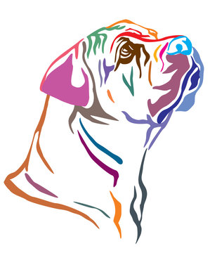 Colorful decorative portrait of Boerboel Dog vector illustration