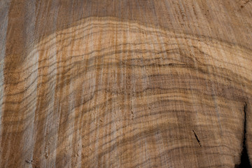 Fototapeta premium Background of exotic wood grain