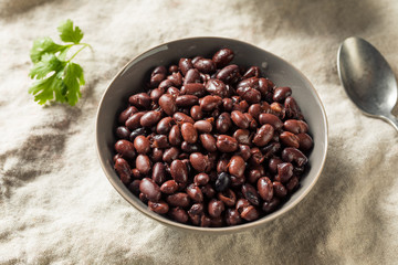Organic Canned Black Beans