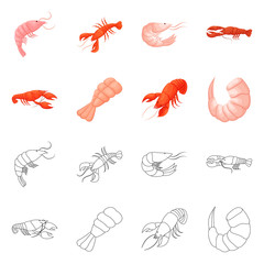 Vector illustration of appetizer and ocean sign. Collection of appetizer and delicacy vector icon for stock.