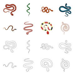 Vector design of mammal and danger logo. Set of mammal and medicine vector icon for stock.