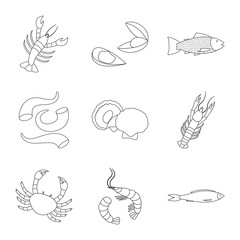 Vector design of food and sea icon. Set of food and healthy vector icon for stock.