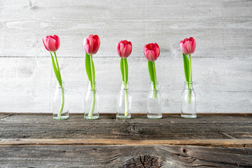 Rote Tulpen in Gläsern vor Holz