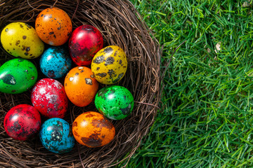 Fototapeta na wymiar Quail Easter eggs in a nest on green grass