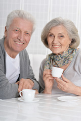 Portrait of happy senior couple drinking tea