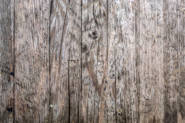 Living Wood Texture